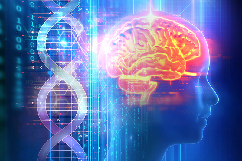 dna strand next to a human brain